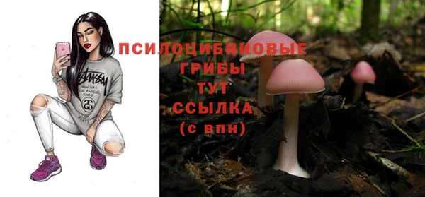 2c-b Бугульма