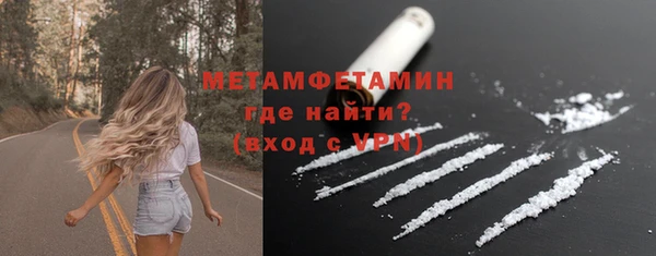 индика Бородино