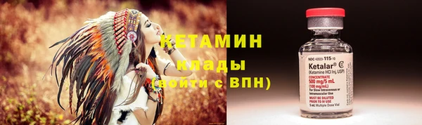индика Бородино