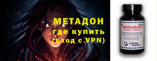 индика Бородино