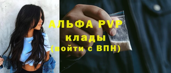 индика Бородино