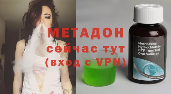 индика Бородино
