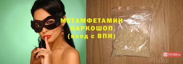 индика Бородино