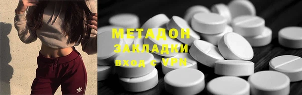 индика Бородино