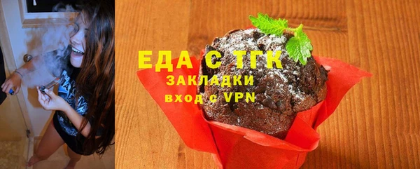 индика Бородино
